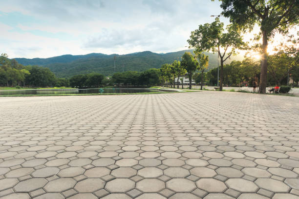 Best Driveway Pavers Near Me  in Clifton, TN