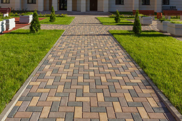 Best Custom Driveway Pavers  in Clifton, TN